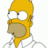 Homer_MCSM