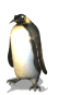 penguin-wave-smiley-emoticon.gif
